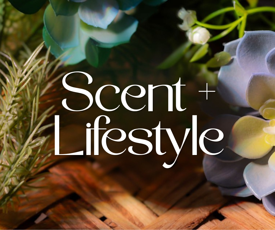 scent and lifestyle image with green and purple succulents with a brown woven background